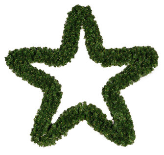 Kerststerren