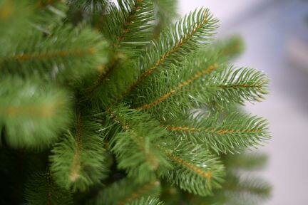 National Tree Company Bayberry - Kunstkerstboom - 213 cm - mix PE en PVC