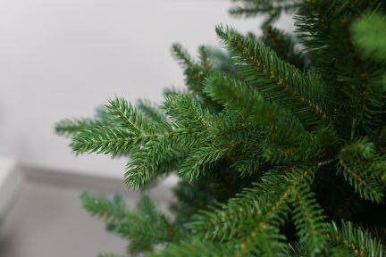 National Tree Company Vienna - Kunstkerstboom - 228 cm