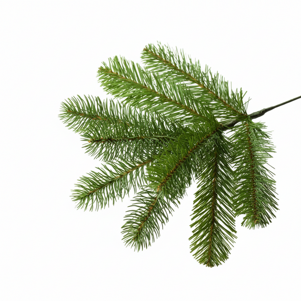 National Tree Company Bayberry - Kunstkerstboom - 243 cm - Leds - mix PE en PVC