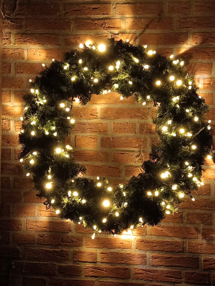 Miami - Kerstkrans - 100 cm - 350 Professionele LEDS - Brandvertragend - Ophang oog - 3 Dimensionaal