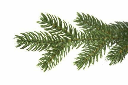 National Tree Company Vienna - Kunstkerstboom - 198 cm - Prelit