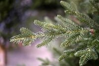 Arkansas 228 kunstkerstboom donkergroen, houten voet.
