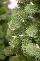 National Tree Company Bayberry - Kunstkerstboom - 183 cm - Leds - mix PE en PVC