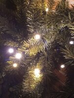 Florida - Kerstkrans - 120 cm - 250 warm witte Professionele LED'S