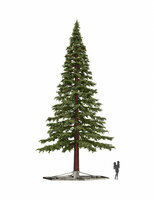 Pine tree extra - Kunstkerstboom - 13.8 meter - mix PE - Outdoor