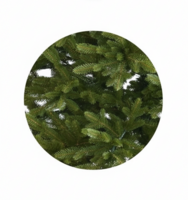 Greenhaven Winter Collection Premium 100% PE - Kunstkerstboom - 240 cm