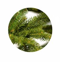 Greenhaven Winter Collection Premium mix PE/PVC - Kunstkerstboom - 210 cm - Natuurlijke uitstraling - NEN EN 13501-1