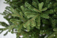 Our Nordic Christmas Vermont - Kunstkerstboom - 183 cm - Houten voet - Mix Pe met PVC