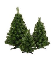 Greenhaven winter collection Vancouver - Kunstkerstboom - 40 cm