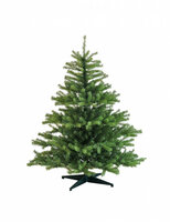 Kunstkerstboom met natuurlijke uitstraling 180 cm hoog