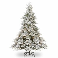 National Tree Company Andorra - Kunstkerstboom - 228 cm - Besneeuwd met LED