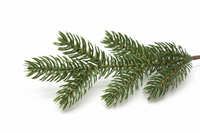 National Tree Company Vienna - Kunstkerstboom - 213 cm