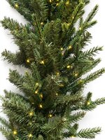 Greenhaven Alaska - Guirlande - mix PE - micro leds