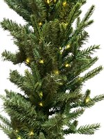 Greenhaven Alaska - Guirlande - mix PE - micro leds