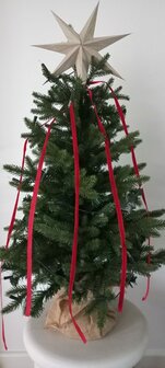 Premium mix PE met PVC - Kleine kunstkerstboom - 80 cm - Luxe kleine kerstboom 