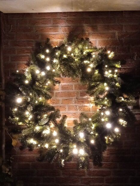 Florida - Kerstkrans - 120 cm - 250 warm witte Professionele LED'S
