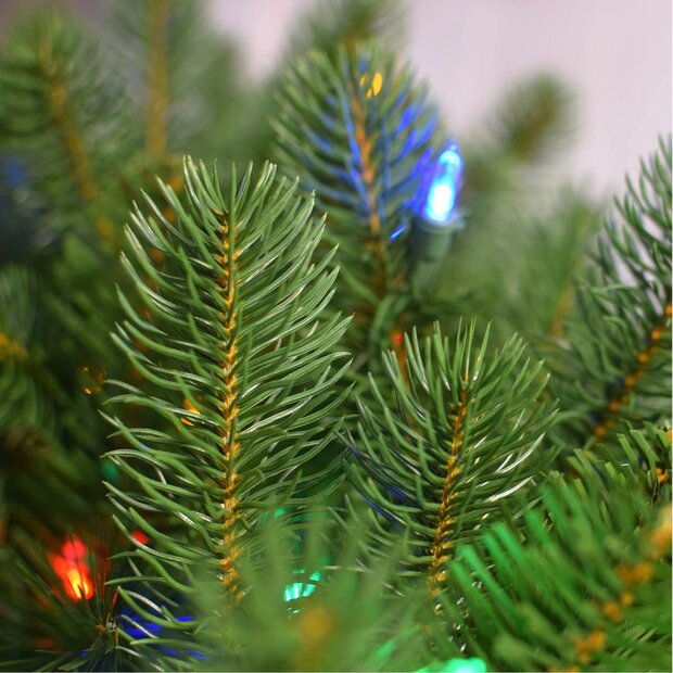 National Tree Company Bayberry - Kerstkrans - 30 cm - Dual LED - Feel Real