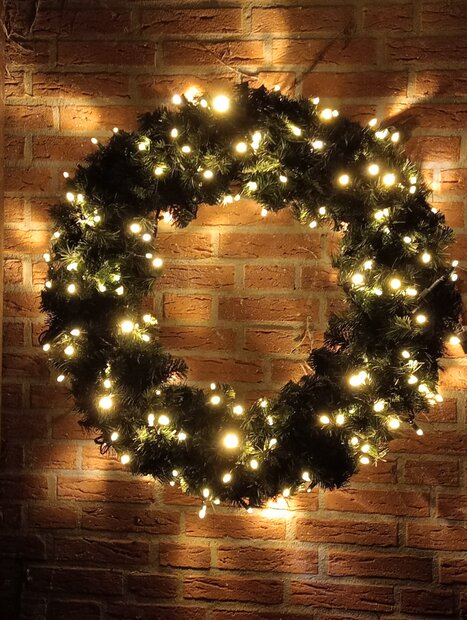 Miami - Kerstkrans - 80 cm - 250 Professionele LEDS - Brandvertragend - Ophang oog - 3 Dimensionaal