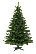 Kerstboom compleet millenium 240